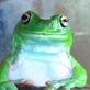 Ed