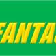 FantasyTote