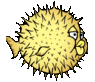 OpenBSD
