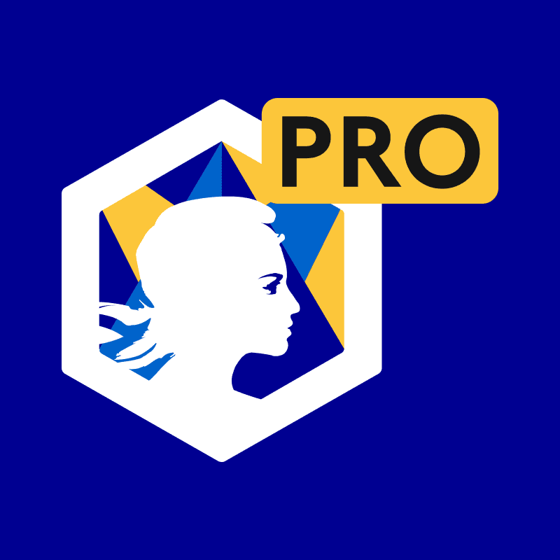 DINUM - ProConnect Identité - Public Bug Bounty Program