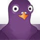 Pidgin