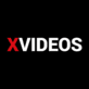 XVIDEOS